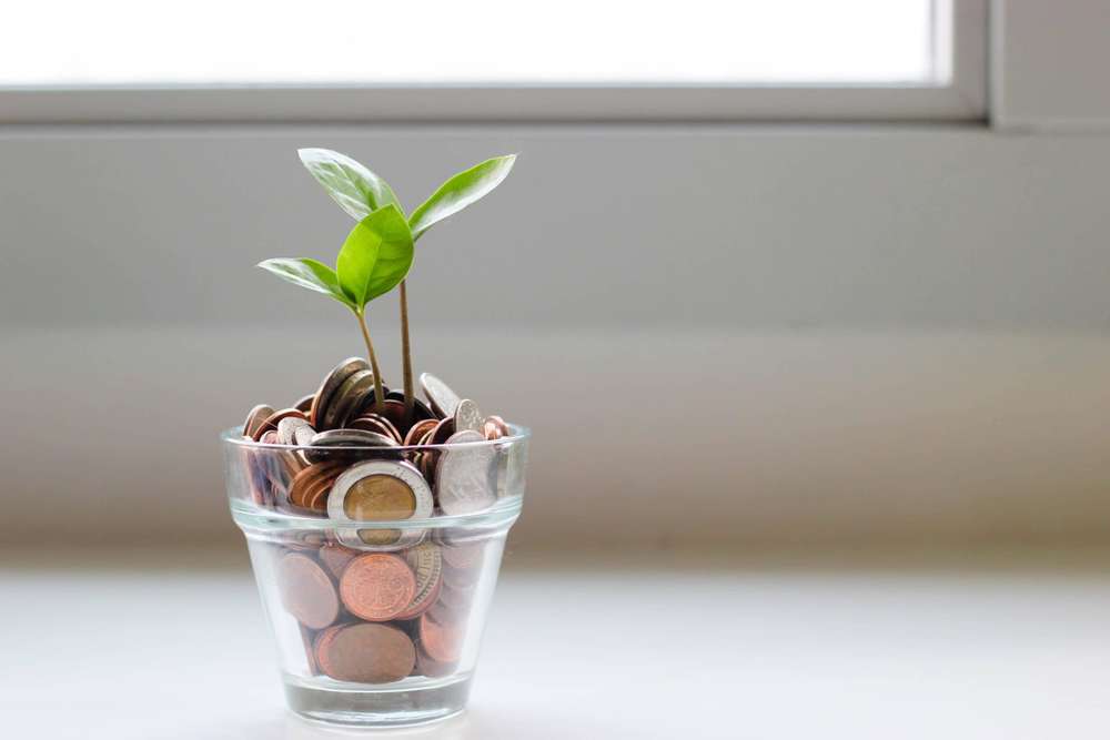 geld-scaled